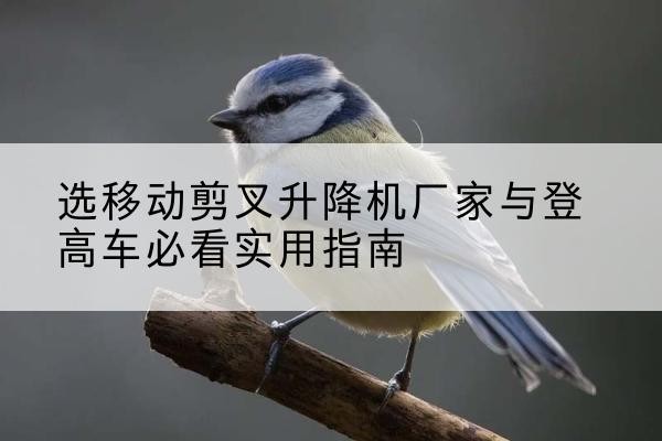 葫芦岛电动升降机厂家-选移动剪叉升降机厂家与登高车必看实用指南