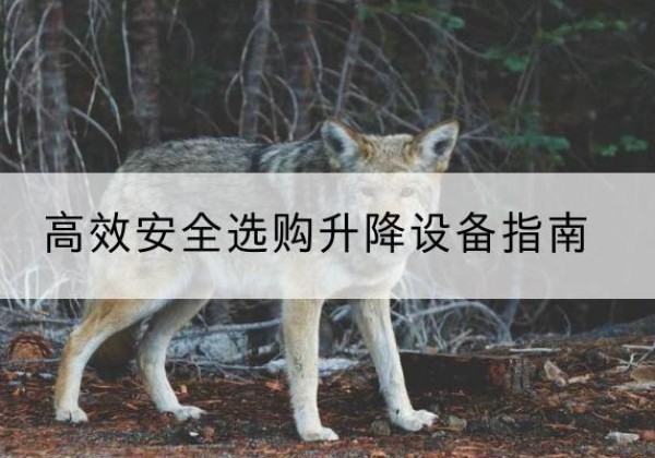 葫芦岛升降货梯厂家推荐-*安全选购升降设备指南